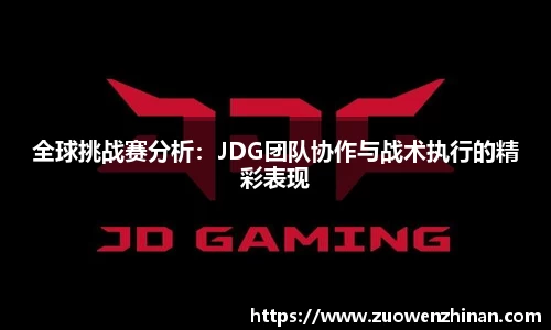 全球挑战赛分析：JDG团队协作与战术执行的精彩表现